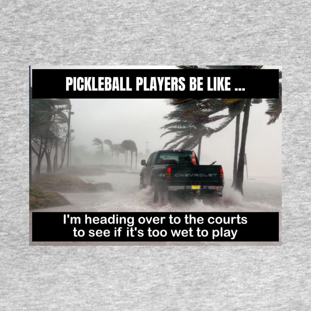 Pickleball - Courts Are Too Wet to Play by numpdog